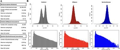 Comprehensive Metatranscriptome Analysis of the Reef-Building Holobiont Millepora complanata